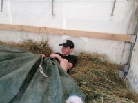 Vogelwiese Eisbaeren 2023